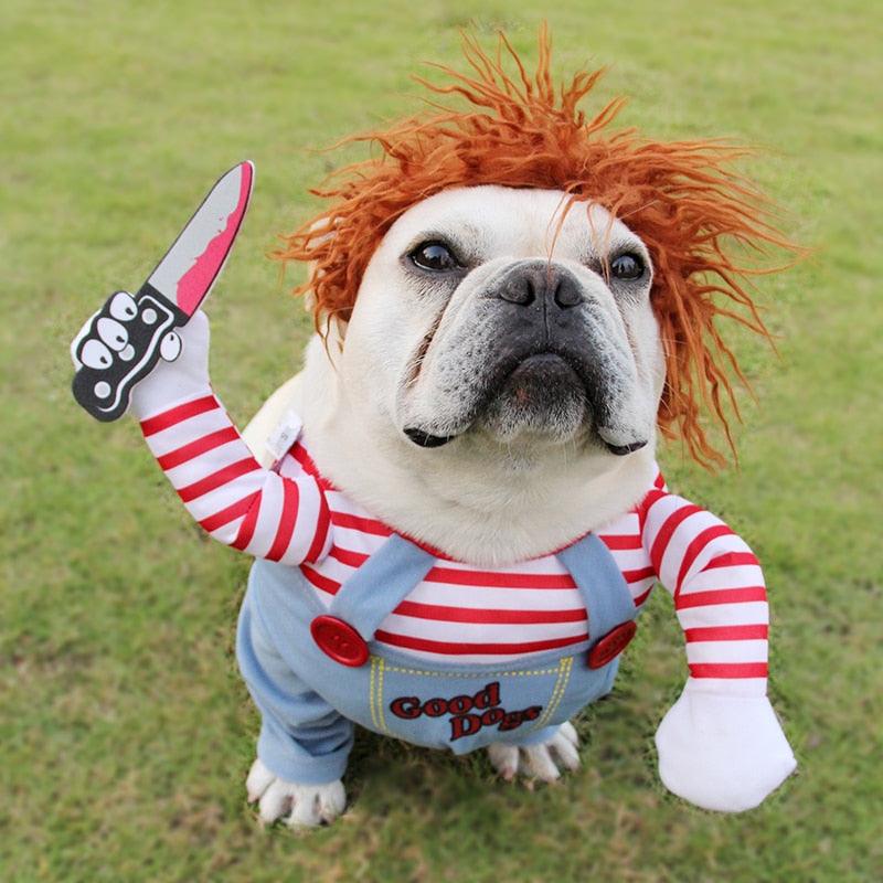 Chucky Honden Costuum ikmoetdithebben